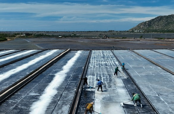 Diêm dân Phước Diêm, huyện Thuận Nam ứng dụng công nghệ trải bạc để sản xuất muối đạt sản lượng cao - Ảnh Văn Nỷ